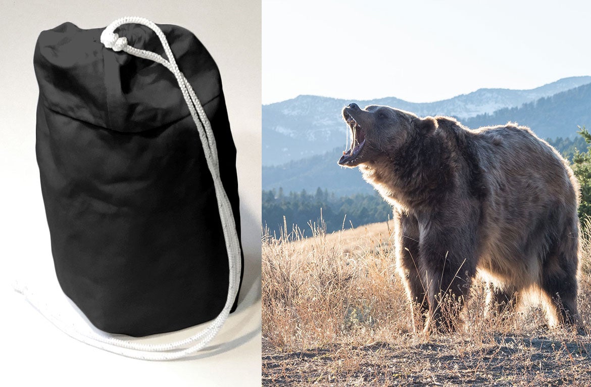 (left) product image of black bear bag (right) brown bear growling with mouth open in mountainous landscape