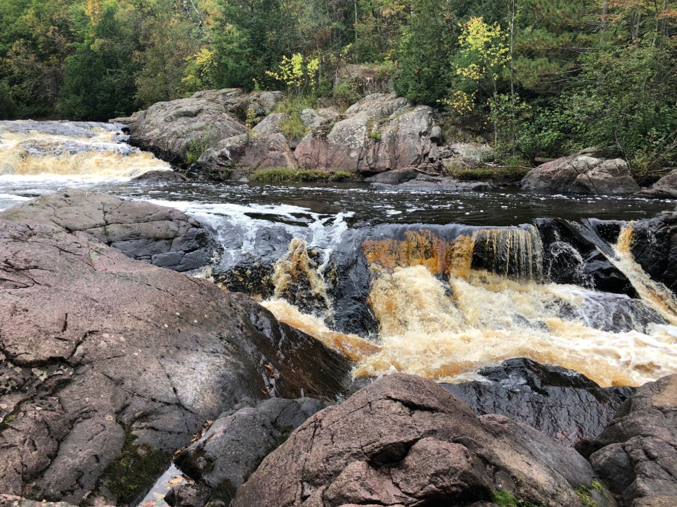 Exploring Wisconsin's Historic Chequamegon-Nicolet National Forest