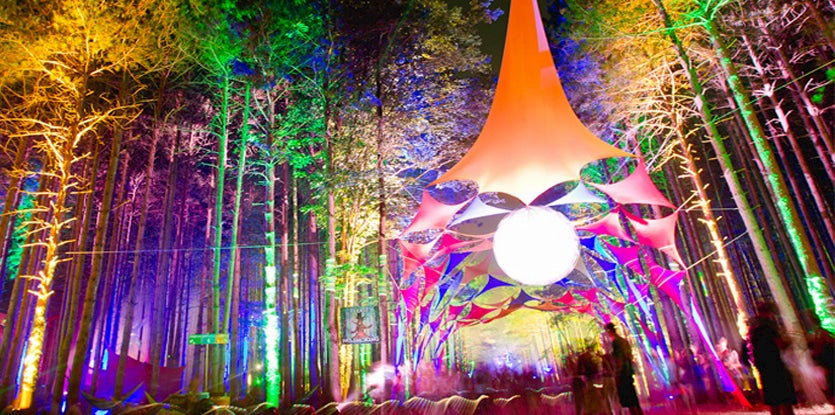 Forest with colorful lights on trees and multi-colored tent installation 