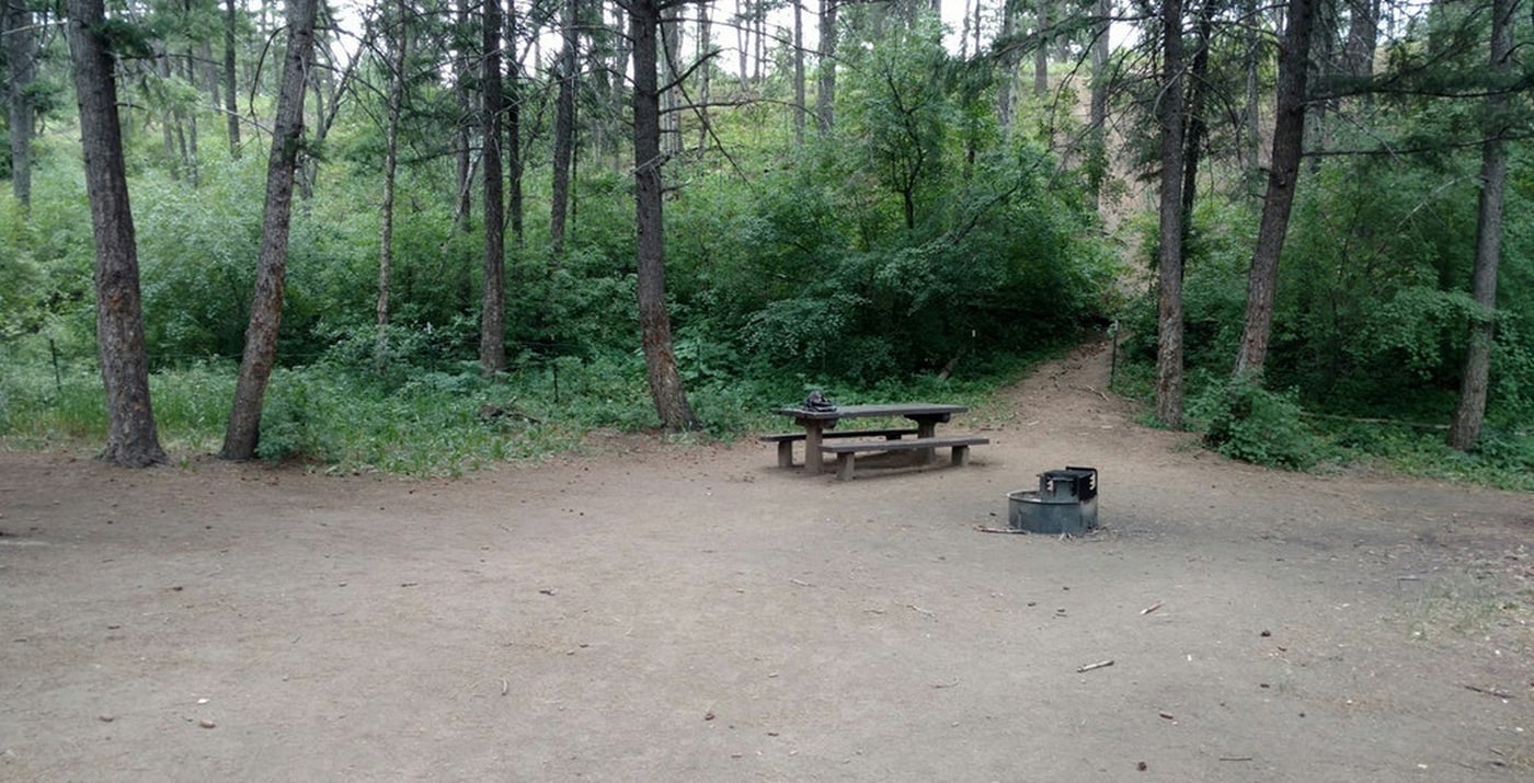 Campsite with fire pit and picnic table and a few trees.