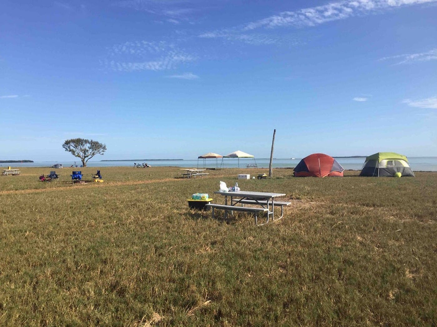 Field beside lagoon in the Florida everglades with dispersed camping tents and a picnic table.