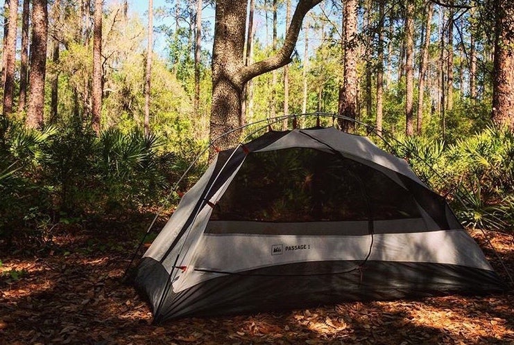 Free Camping In Florida Tips For Saving Green In The Sunshine State