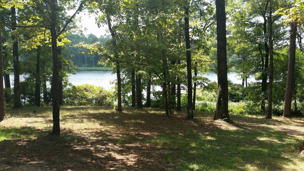 Panoramic view of trees and a lake in background 
