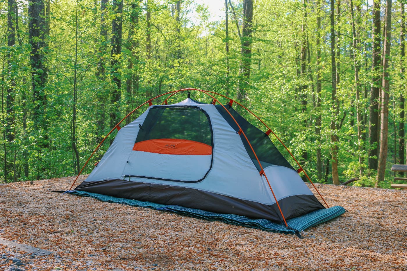 Orange and grey tent setup on the ground in front of a young and leafy cluster of trees.
