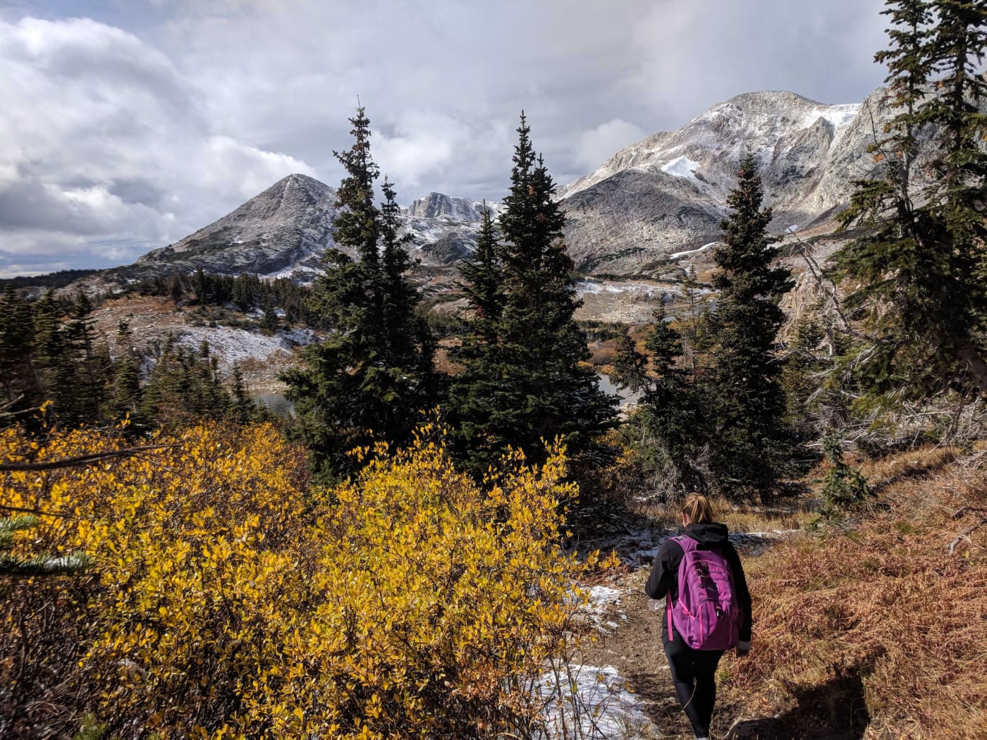 Women with ponytail and pink backpack hikes downhill.