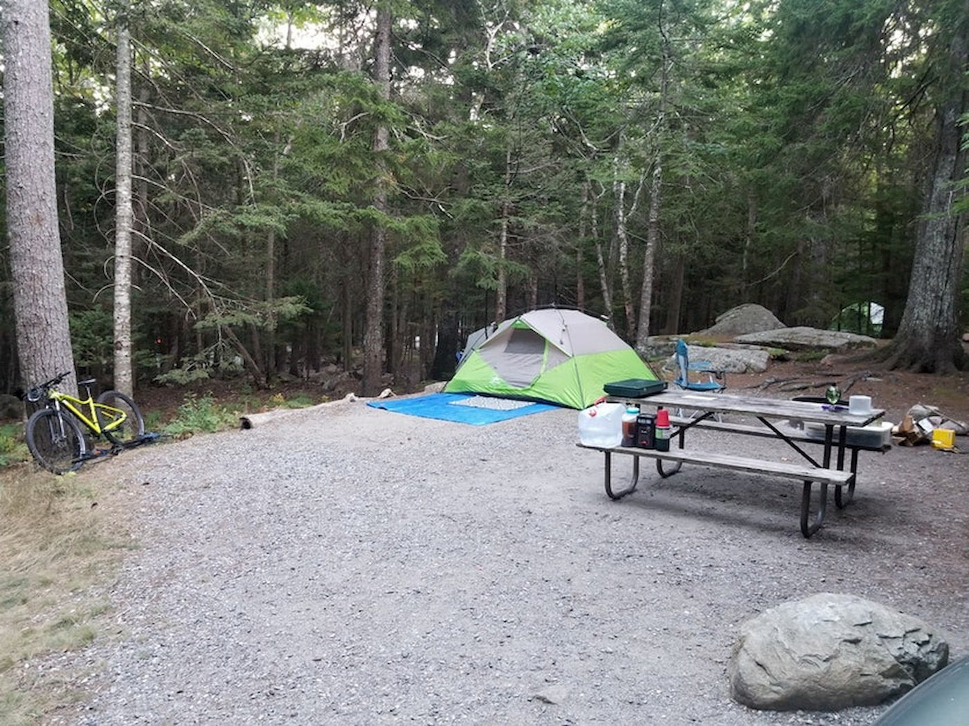 Campsite with green tent and picnic table in clearing in the forest at Acadia National Park.