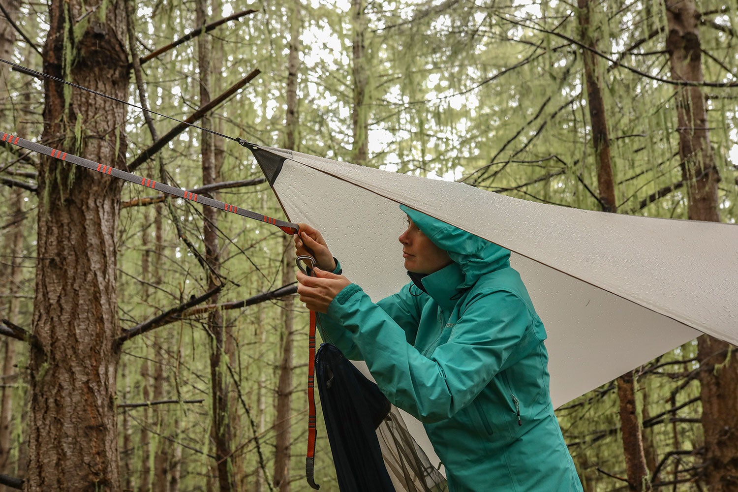 a woman ties a hammock and a rainfly to a tree in the rain in a forest