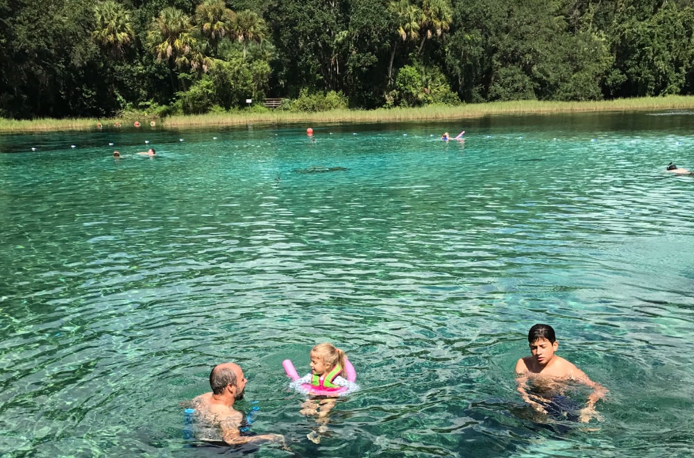 A man and two children wading in bright blue water in florida's weeki watchee state park