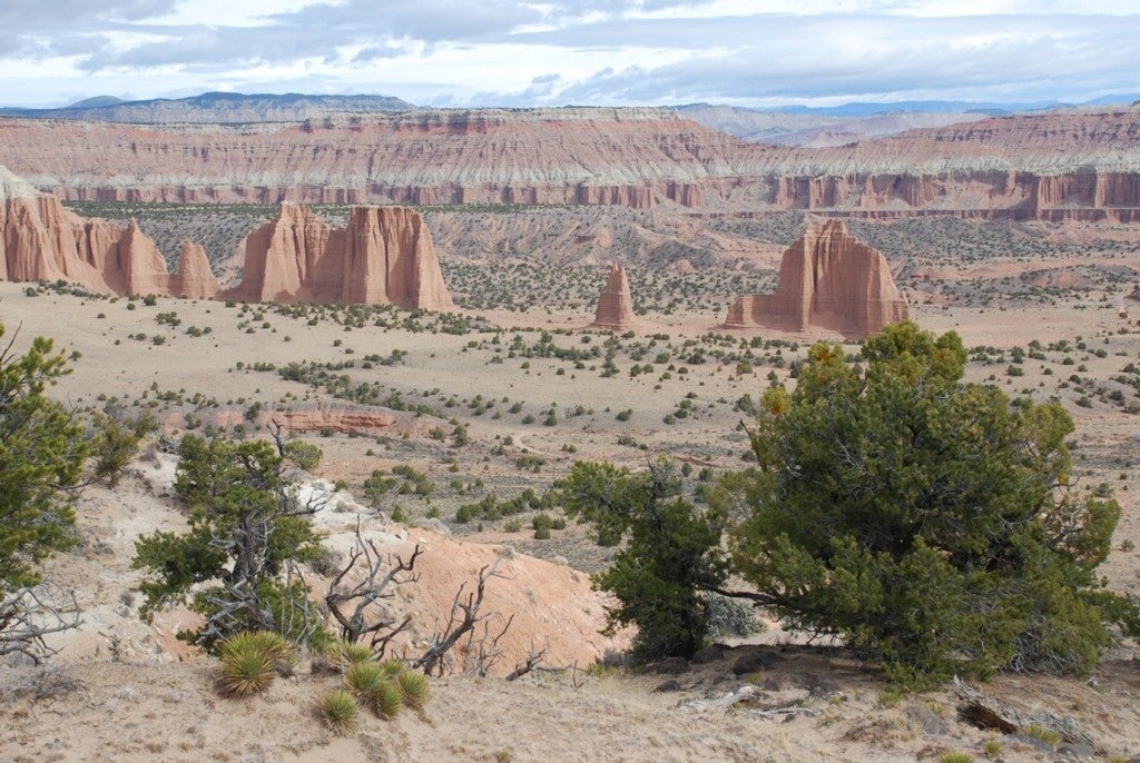 panoramic view of cathedral valley in utah's desert