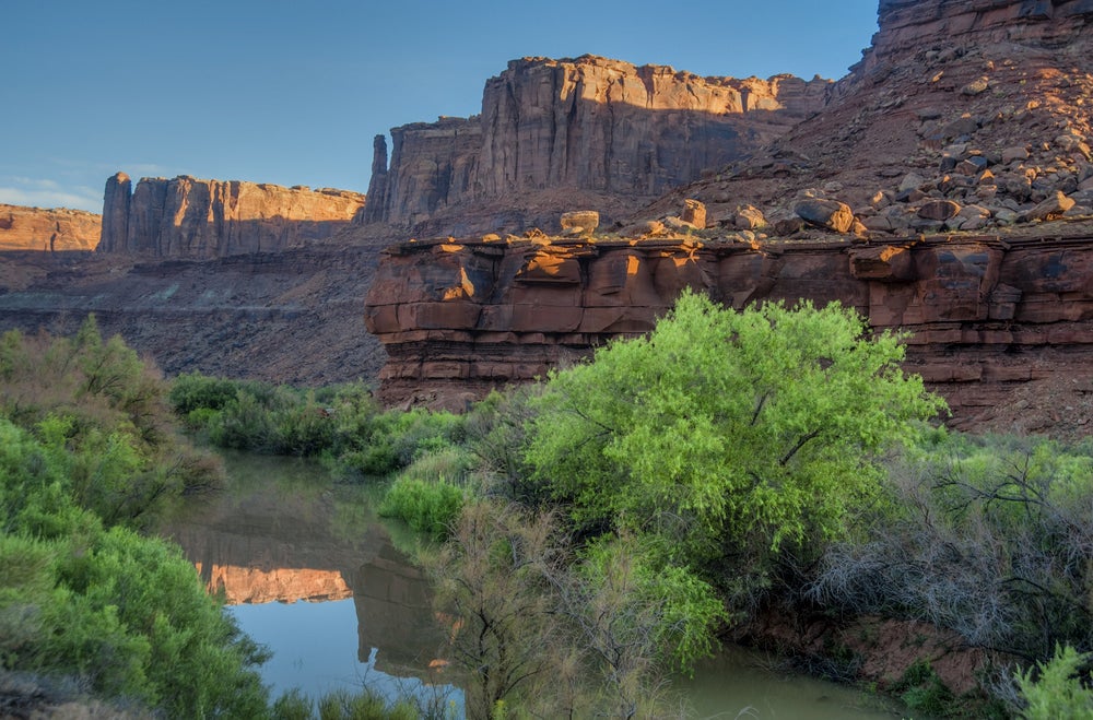 River with green shrubbery and red rock behind 