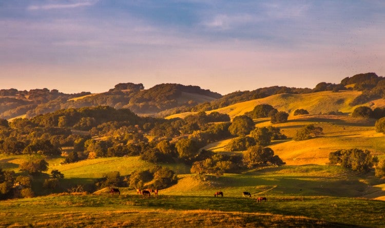 16 Dude Ranch Vacations That Let You Live Your Wild Western Dreams