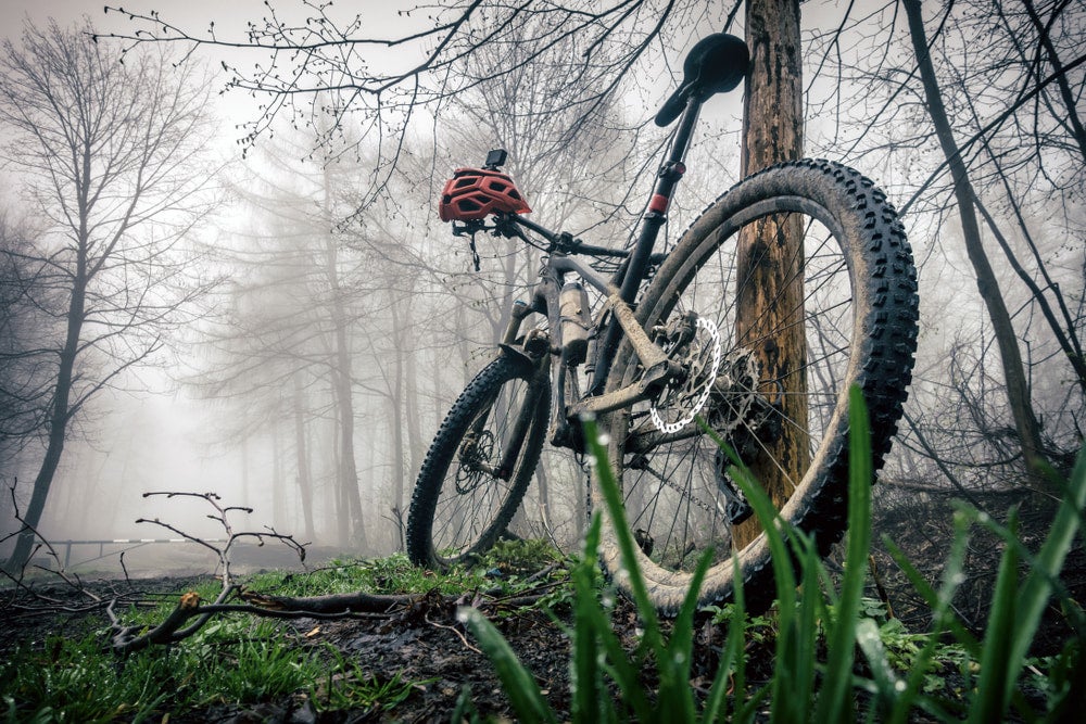 a mountain bike leaning against a tree in a foggy forest