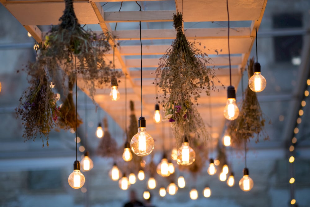 Lights and plants hanging from white ceiling outdoors