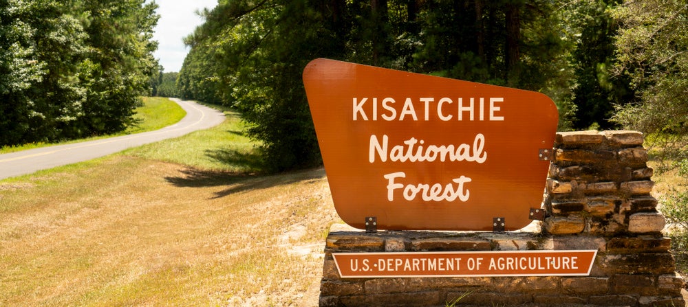 View of Kisatchie National Forest sign with trees and road in background 