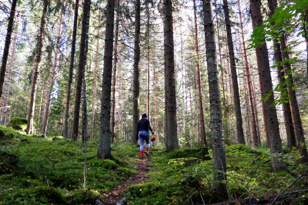 Woman walking through a trail in a forest with a basket in hand.