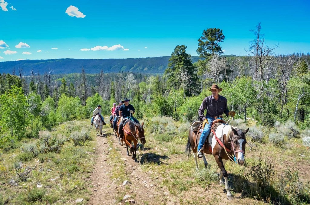 Group horseback riding on a mountain trail.