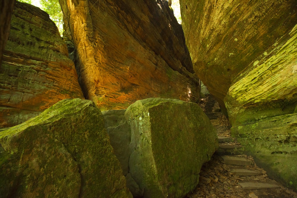 Natural rock stairway through moss covered boulders in at the Cantwell Cliffs.