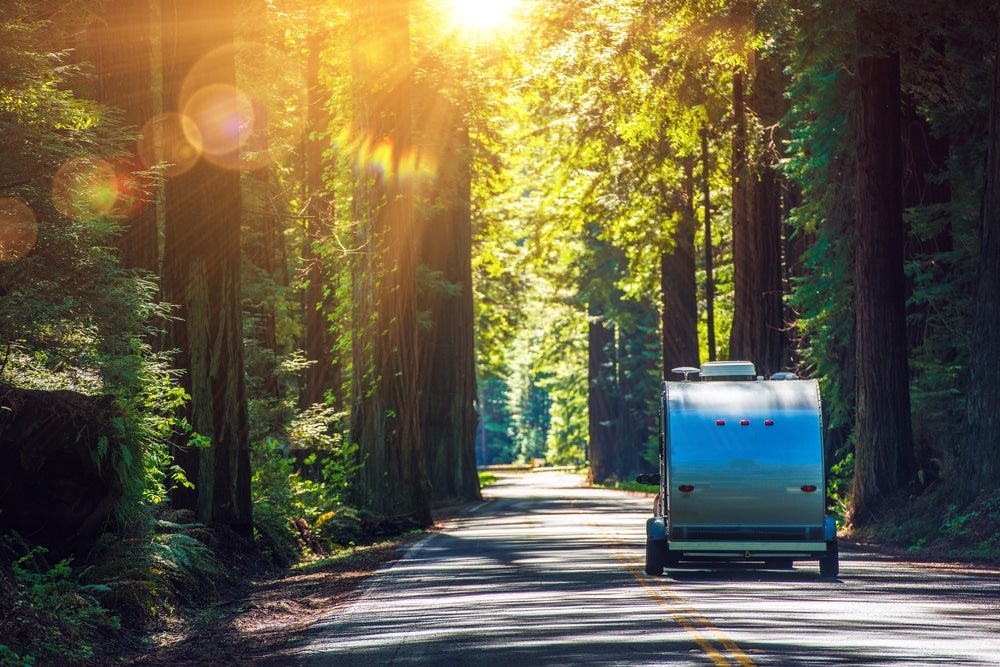 back view of camping trailer being towed down forest road as sun shines through trees