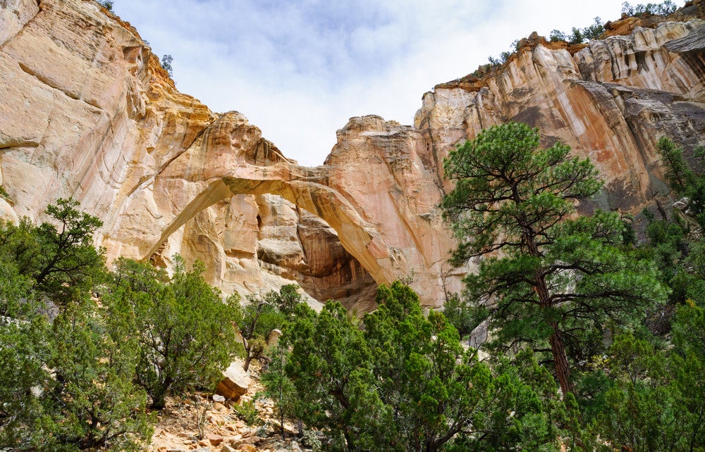 Rock arch and rock wall in background with green trees in foreground 