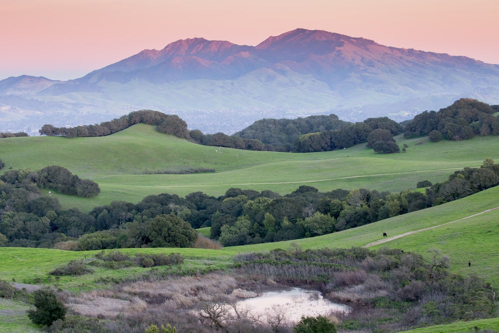 Photo of Mt. Diablo at sunset with green grassy hills in foreground 