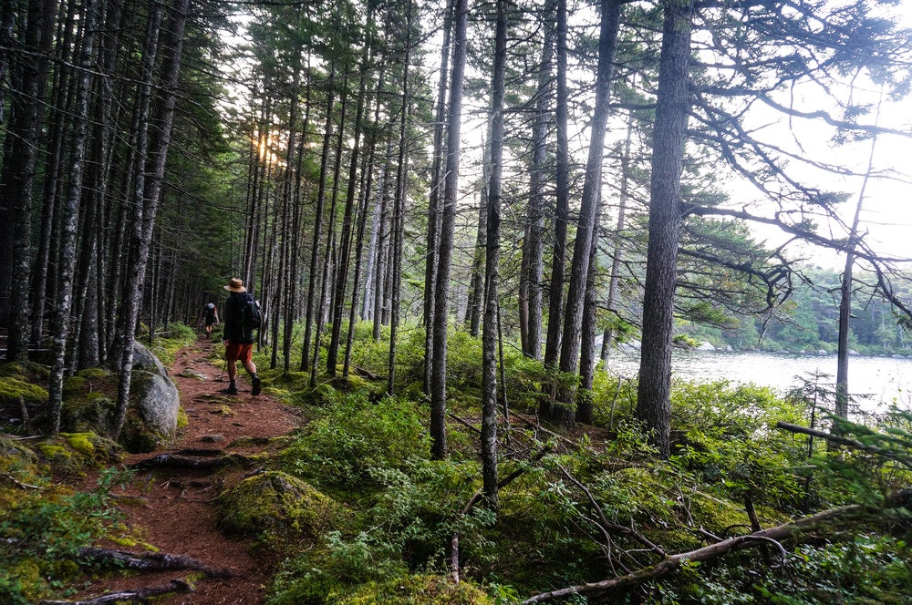 Thru-hiker walking along a forested trail next to a lake 