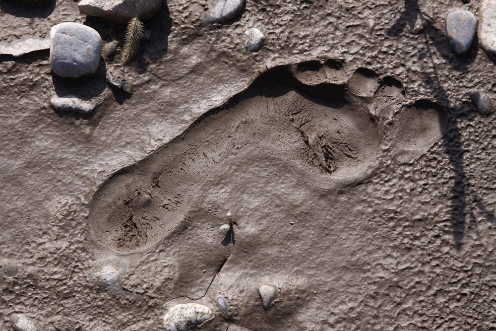 Footprint in the mud and rocks surrounding footprint 