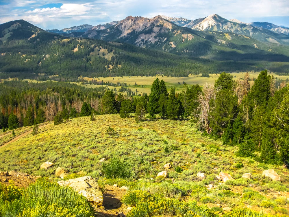 Panoramic view of tree-lined foothills at the base of mountain range in Sawtooth National Forest, Utah.