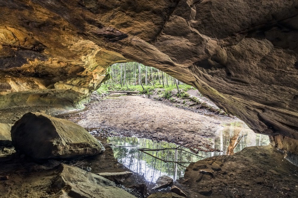 View from inside a cave to a forest with large a puddle below it.