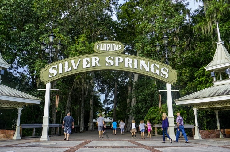 Monkeys of Silver Springs State Park Predicted to Double Their Population