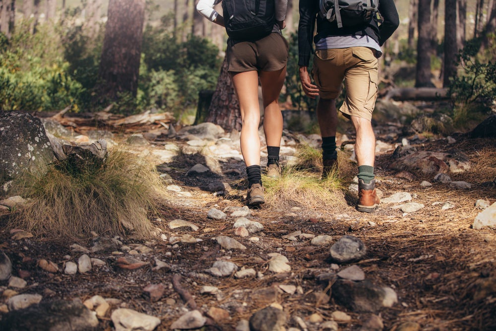 View from behind of two people wearing hiking shorts and forest in background 