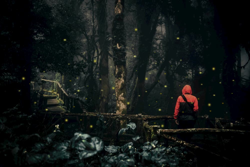 person in bright orange jacket faces away from camera toward a dark forest, surrounded by glowing fireflies