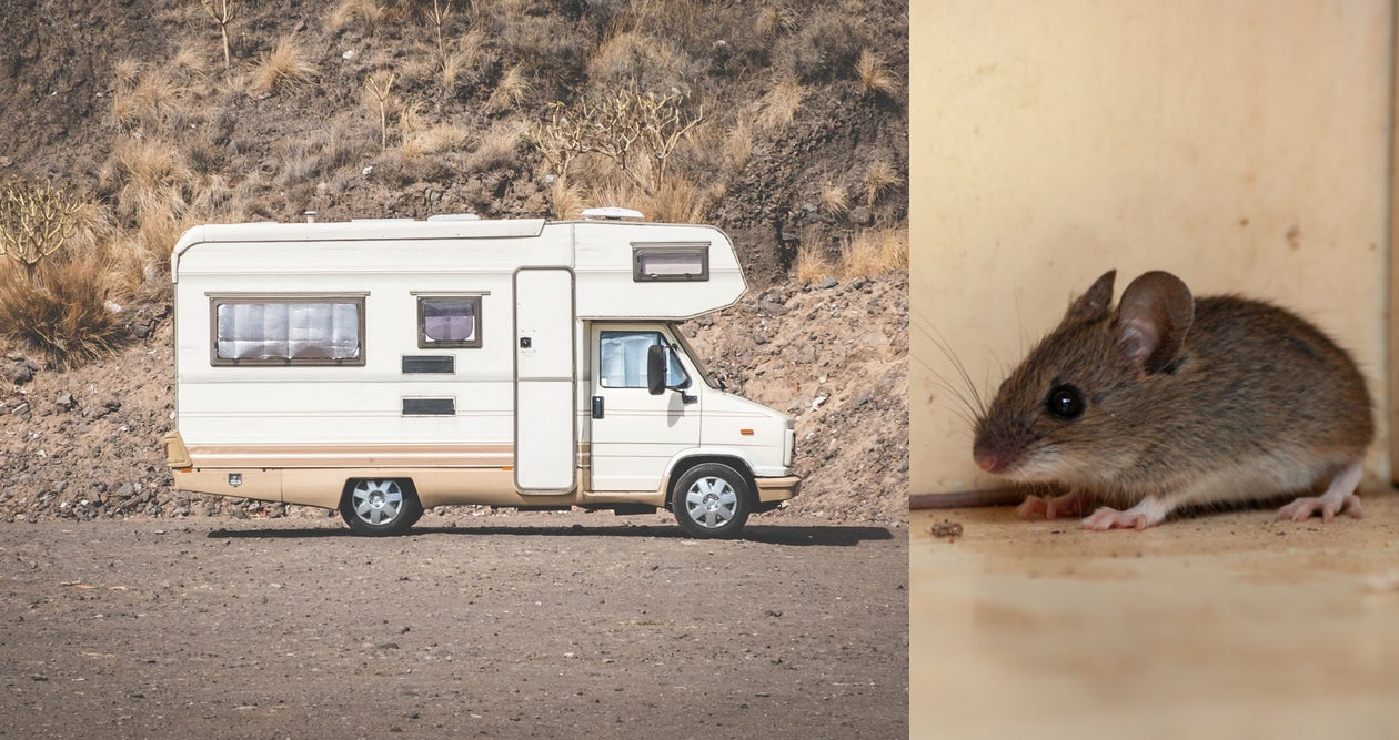 (left) Image of an older RV parked by rock wall (right) image of a mouse