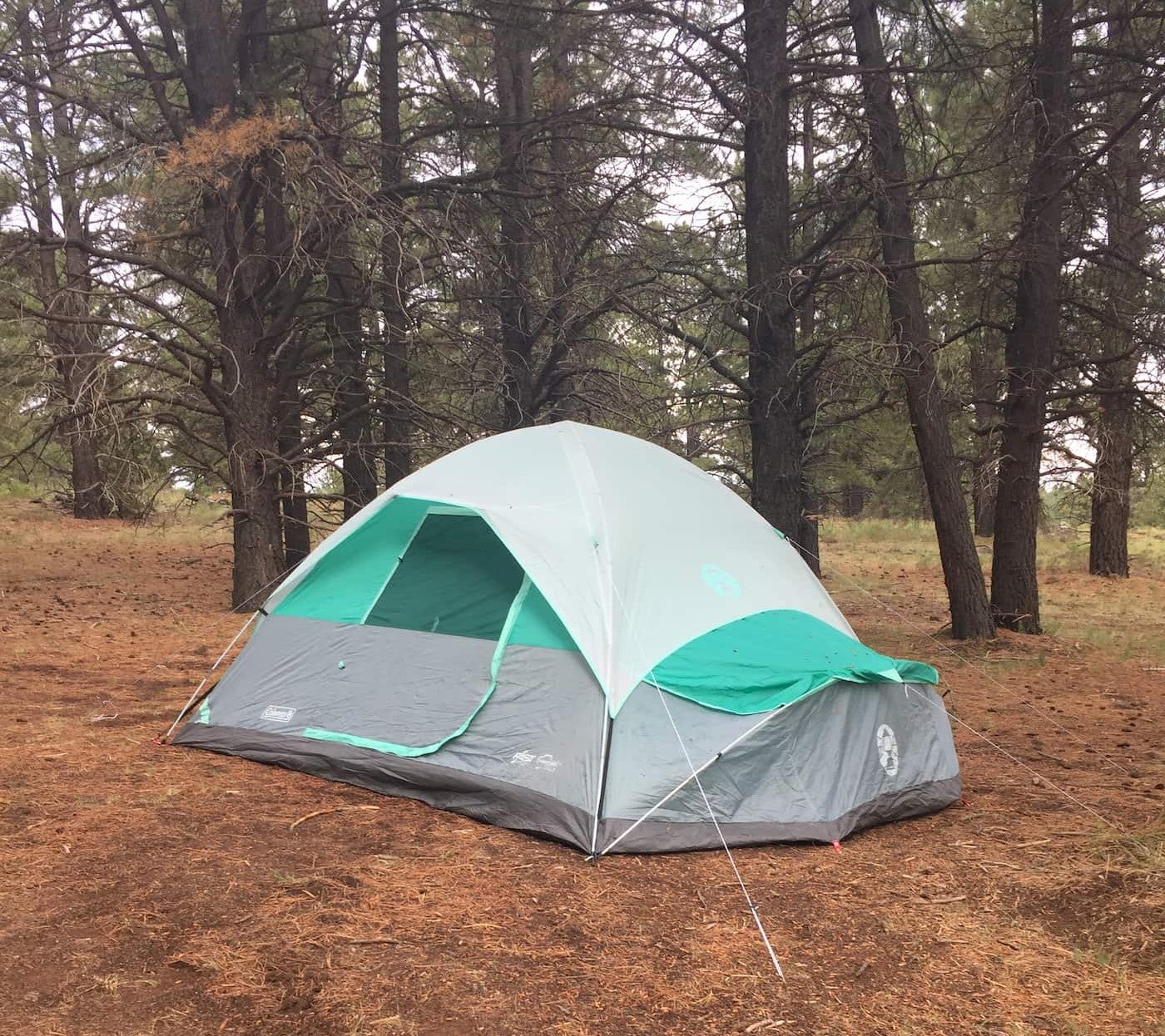 Teal and grey tent set up on cleared ground at Uinta Flats.