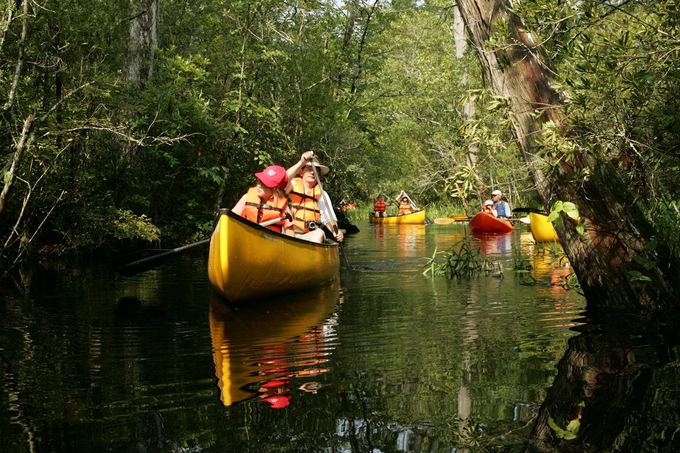 Family kayaking on a river with trees next to river 