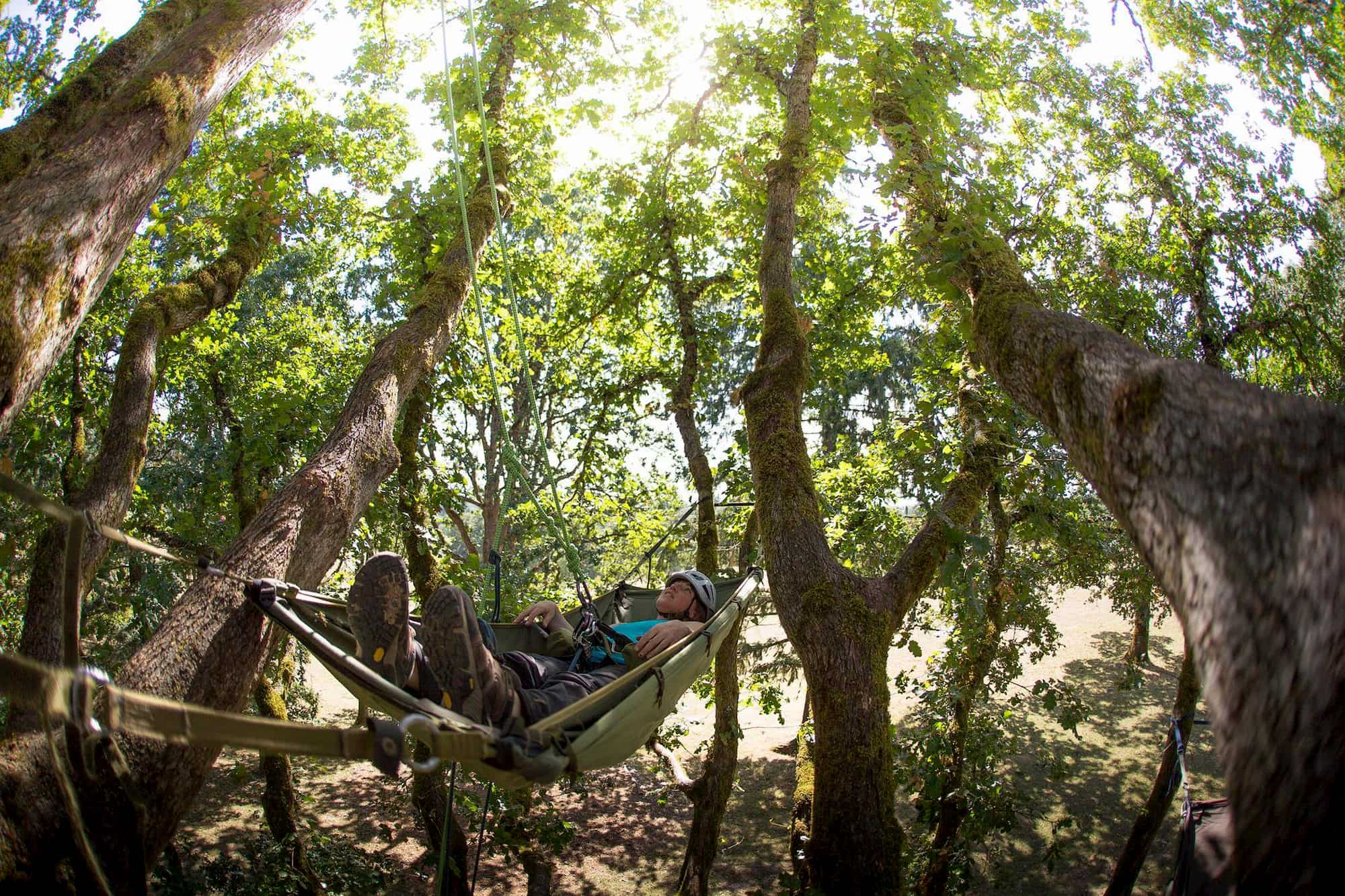 Woman hanging in hammock in a large tree