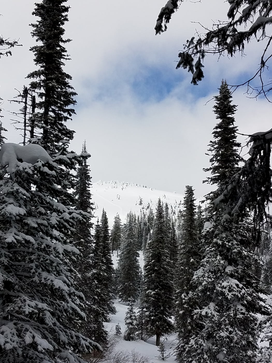 View from snow covered Mount Spokane.