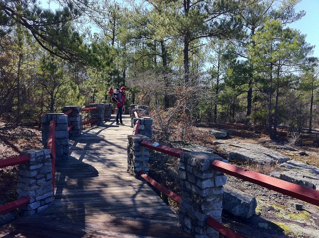 Woman with child on bridge in forest 