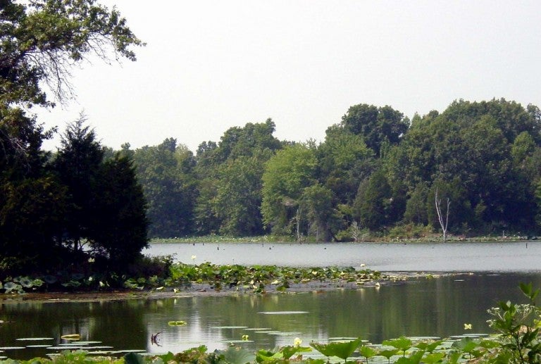 The Top 10 Places to Go Fishing in Illinois + Nearby Camping