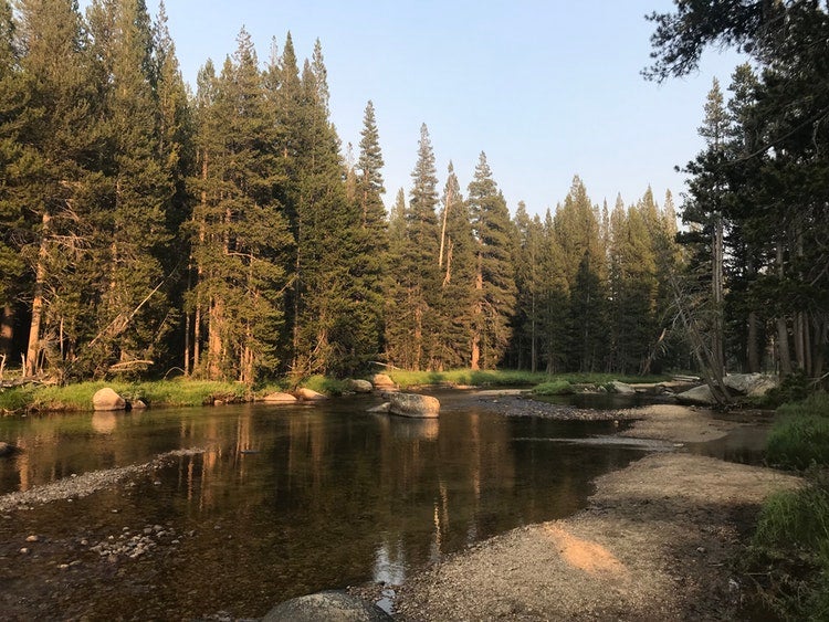 un río todavía poco profundo enclavado en un bosque de california