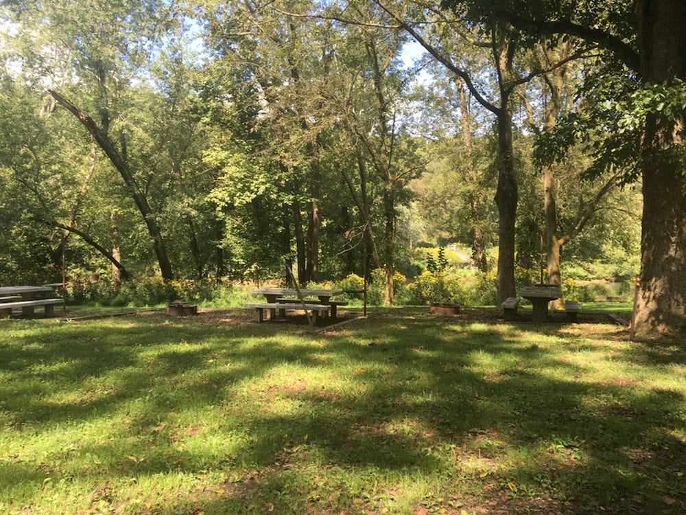 Dappled sunshine on grass campsite with picnic table and surrounding forest.