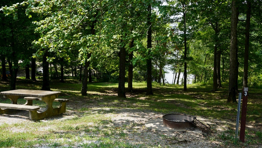 Campsite at Twin Lakes with fire pit and picnic table.