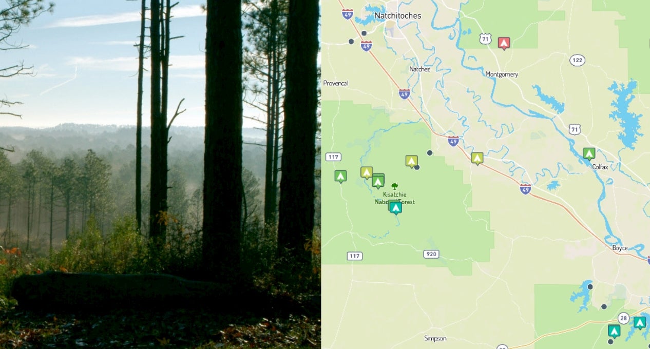 (left) wooded overlook in kisatchie national forest (right) campgrounds in the forest, mapped on the dyrt