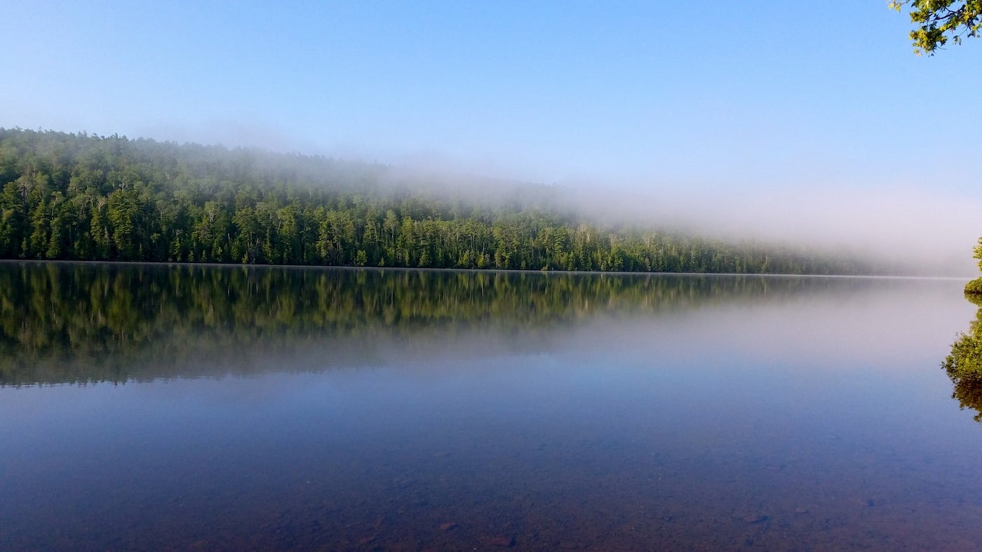 Fog rolling in atop calm, tree-lined waters