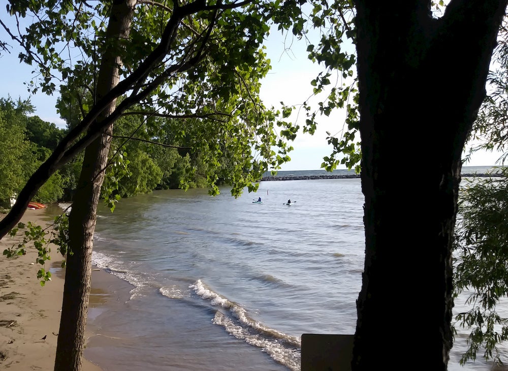 Panoramic view of beach with trees in foreground 