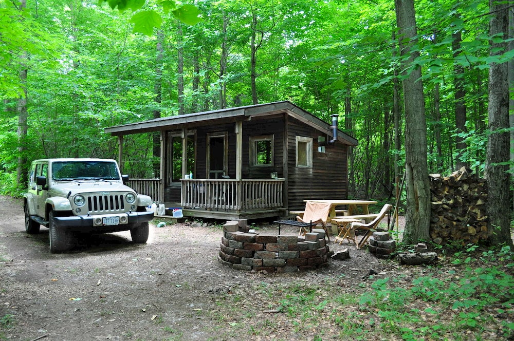 Cabin in forest with jeep in foreground