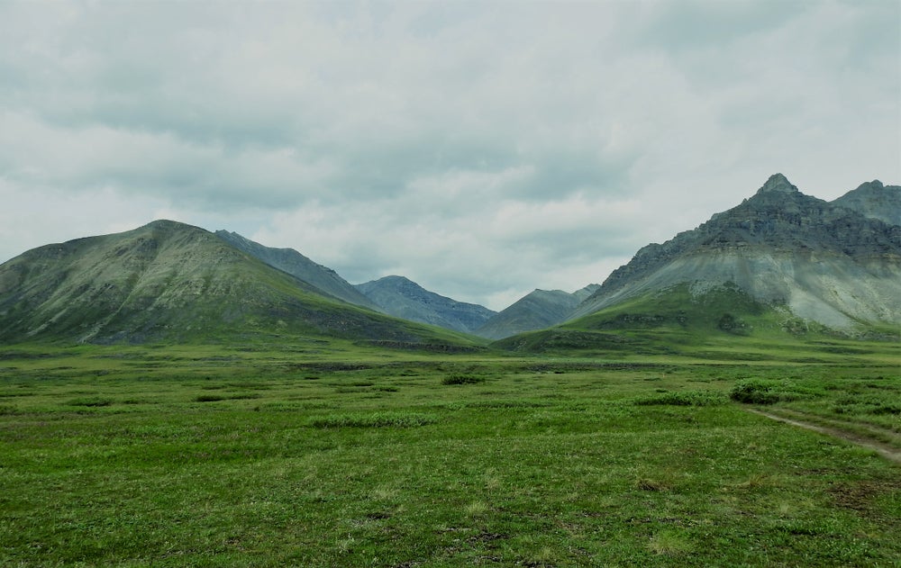 The Brooks Mountain range and alpine fields in Gates of the Arctic National Park.