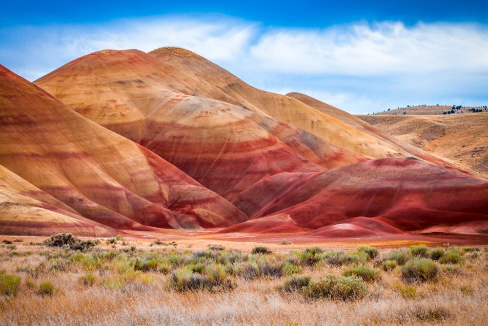 Panoramic view of the painted hills in Oregon 