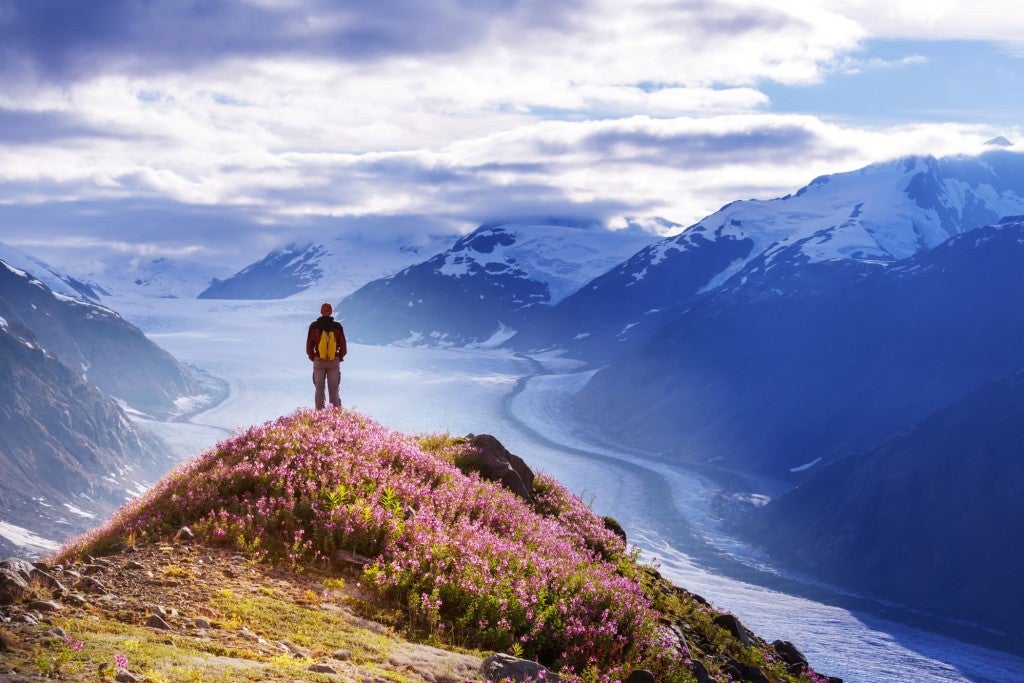 hiker standing on flower covered peak overlooking glacier field in Wrangell St Elias national park