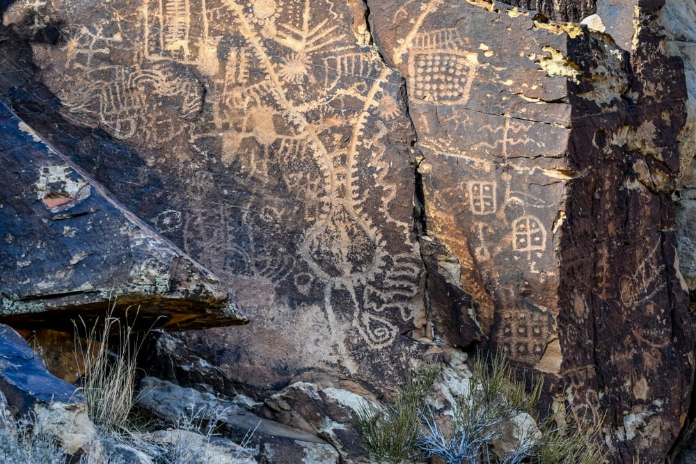 White petroglyphs in black rock and shrubbery in foreground 