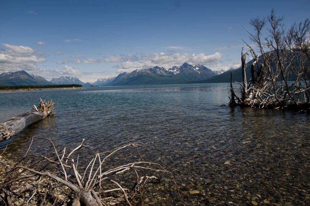 Lake clark in the summertime surrounded by snow capped mountains.